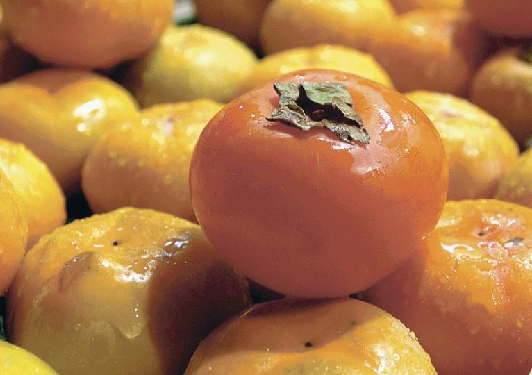 Diospyros.jpg