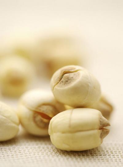 LotusSeed.jpg LotusSeed.jpg