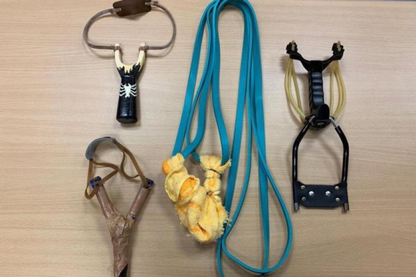 投資者賠償制度優化措施刊憲 