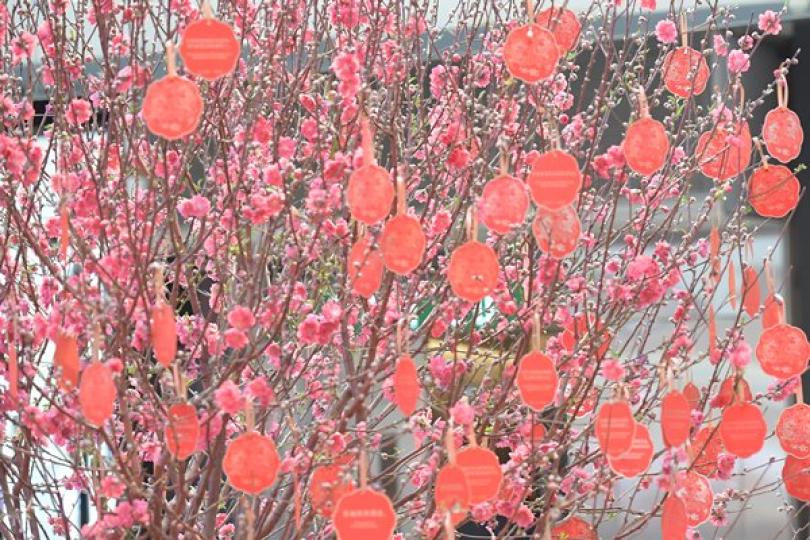 年宵攤位下周二起競投