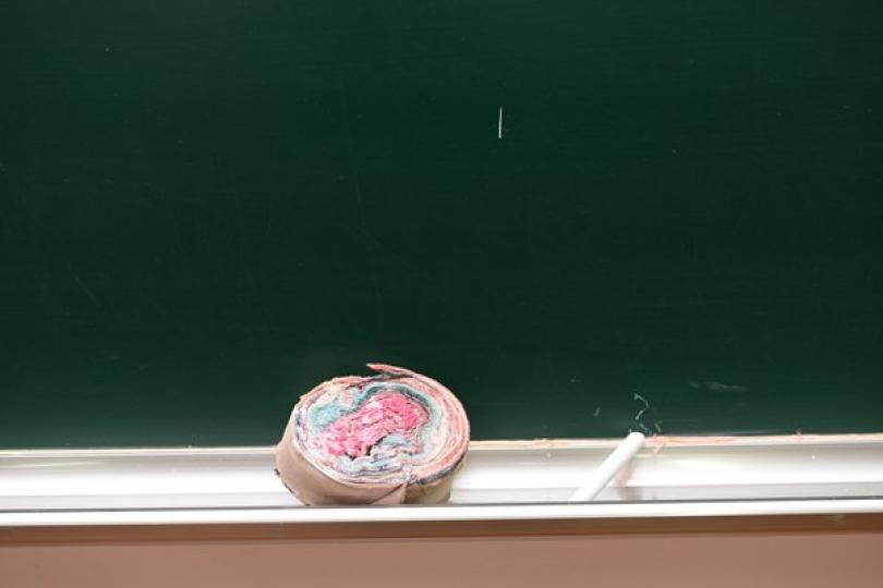 學校應阻止學生參與違法行為