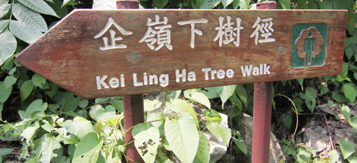 企嶺下樹木研習徑