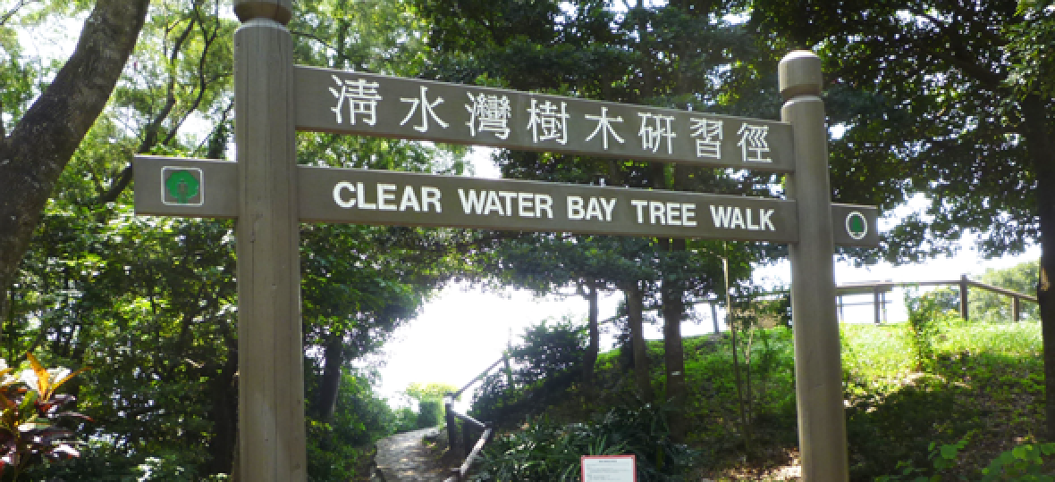 清水灣樹木研習徑