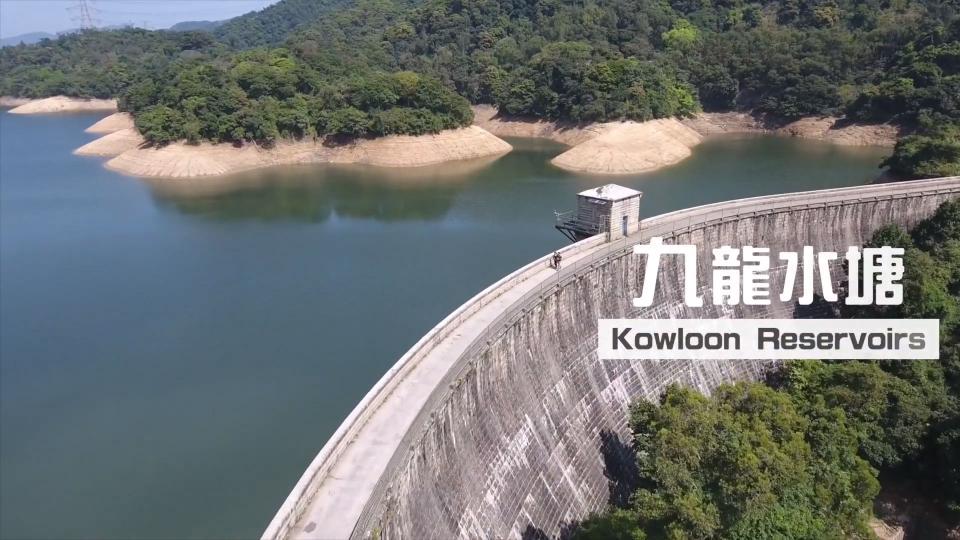 FolloMe隨我行｜#10九龍水塘｜餵飼惹的禍